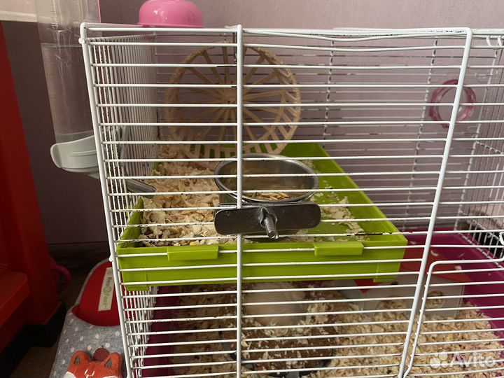 Клетка для грызунов с хомяком