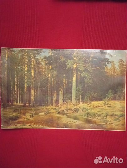 Шишкин репродукция