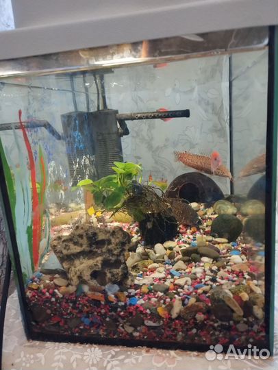 Аквариум