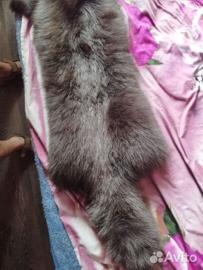 Шкурка животного