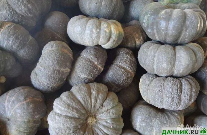 Семена тыква Мраморная