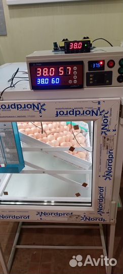 Инкубатор фермерский до 200 яиц