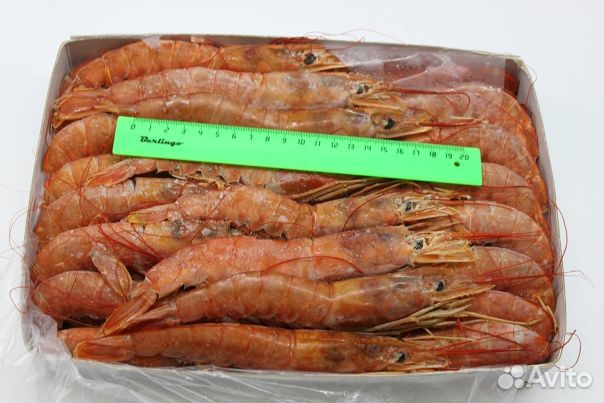 Лангустины l2 Крупные