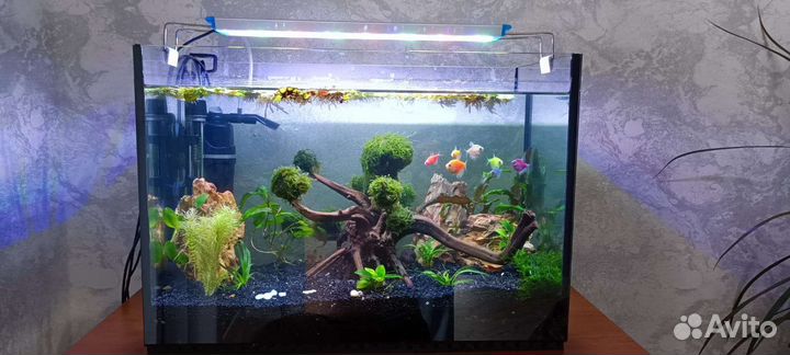 Аквариум