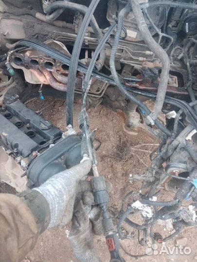 Троса кпп Ford Focus hxda 2008