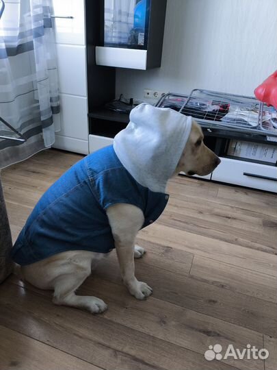 Куртка для собак средних пород