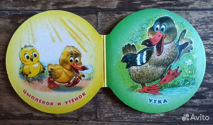 Домашние животные книжка-игрушка рисунки Савченко