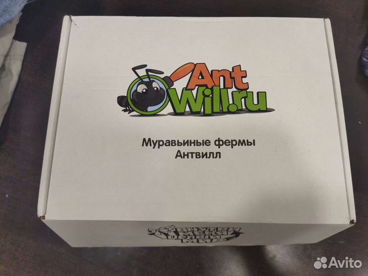 Муравьиная ферма новая