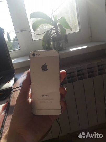 Телефон iPhone 5