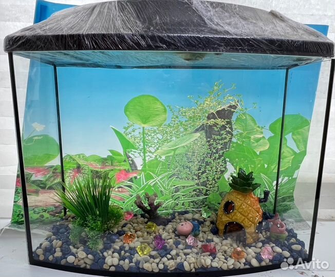 Аквариум