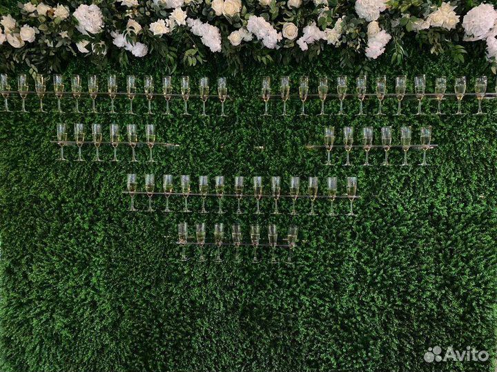 Фотозона шампанское по звонку/ ring for champagne