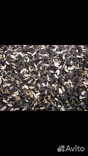 Лузга подсолнечника