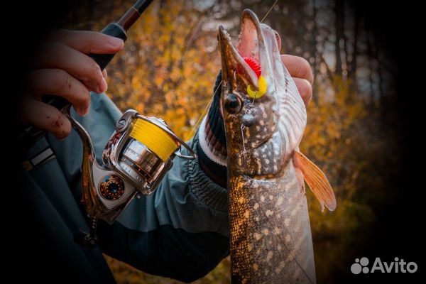 Рыбалка с лодки