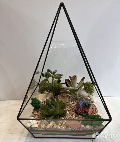 Флорариум суккуленты. Растения в стекле
