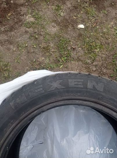 Nexen Winguard Ice 215/55 R17