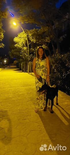 Передержка собак, догситтер, выгул