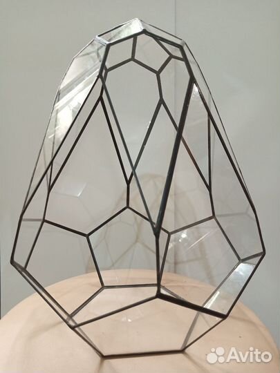 Яйцо дракона. Флорариум