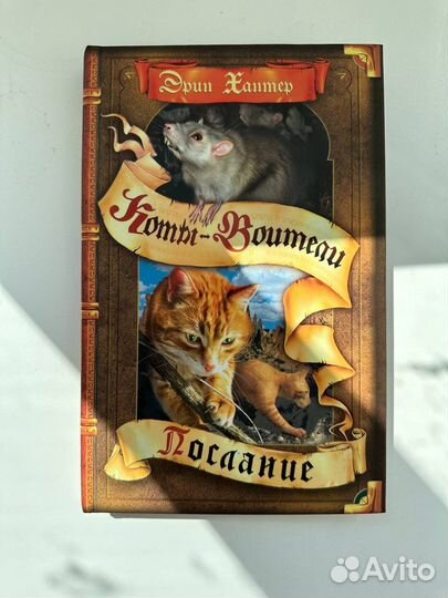 Серия книг Коты-Воители, Эрин Хантер, Цикл 1