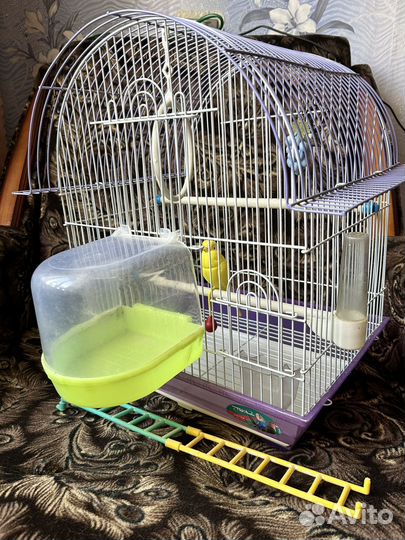 Клетка для попугая