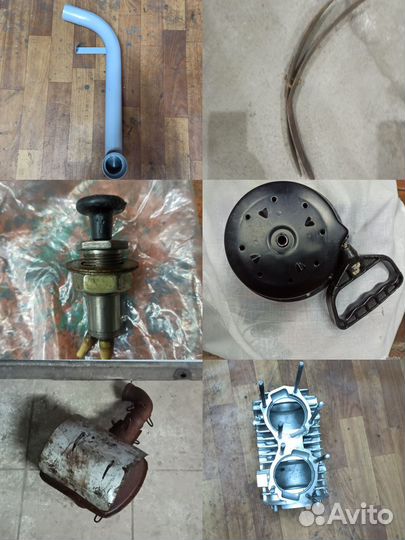 Рысь тайга буран