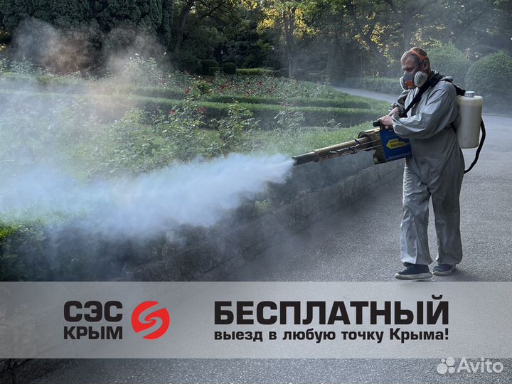 Уничтожение тараканов, клопов, блох, мышей, крыс