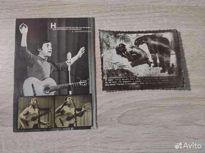 Владимир высоцкий и Маугли