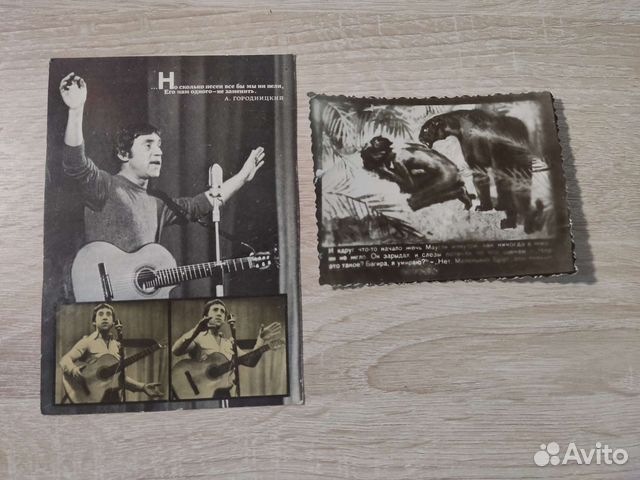 Владимир высоцкий и Маугли