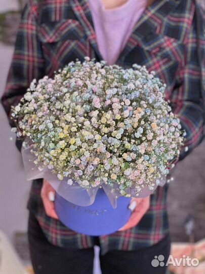 Гипсофила в коробке