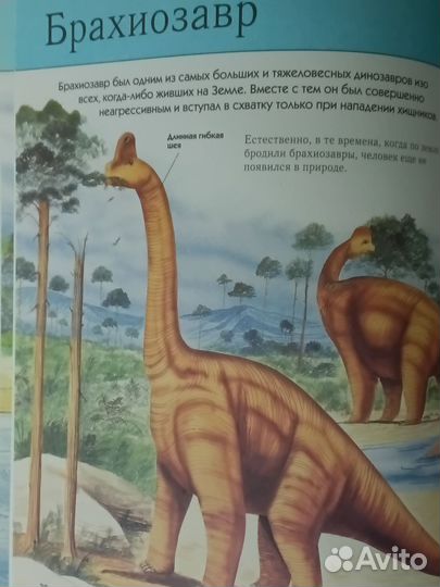 Книга энциклопедия динозавры