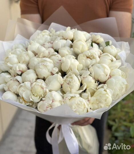 Пионы букеты из пион доставка цветы