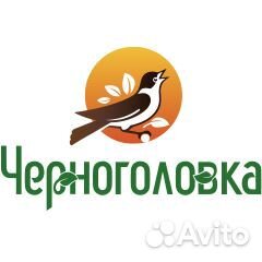 Эксклюзивный Торговый Представитель