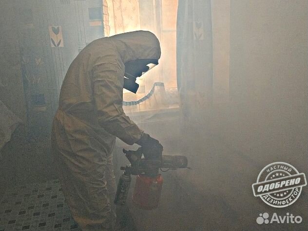 Уничтожение клопов тараканов дезинфекция плесени