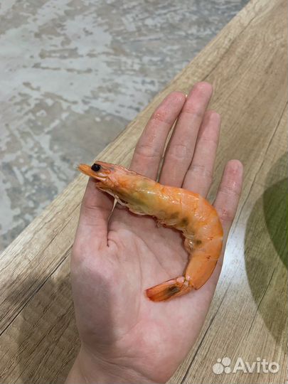 Продажа креветок