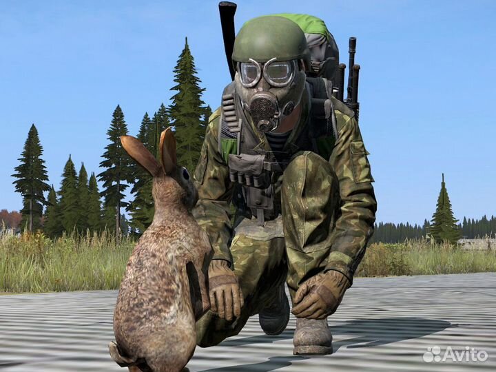 DayZ PS4/PS5 RUS
