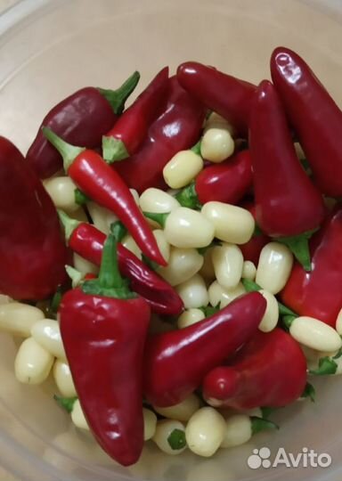 Семена острых, жгучих перцев