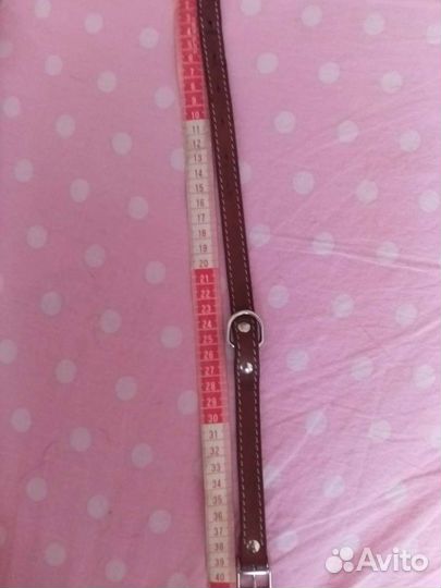 Ошейник для собак