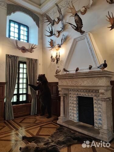 Автобусный тур в Беларусь