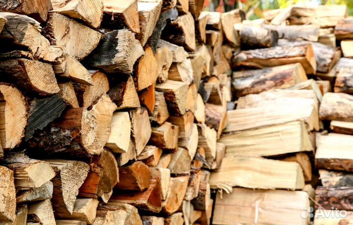 Дрова без жучков