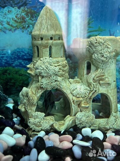 Аквариум с рыбками