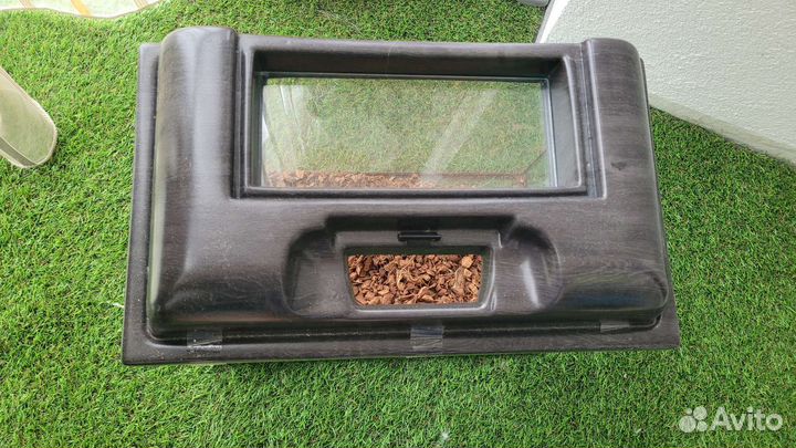 Аквариумные рыбки