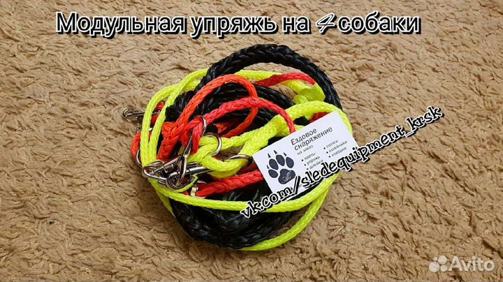 Упряжь для собак