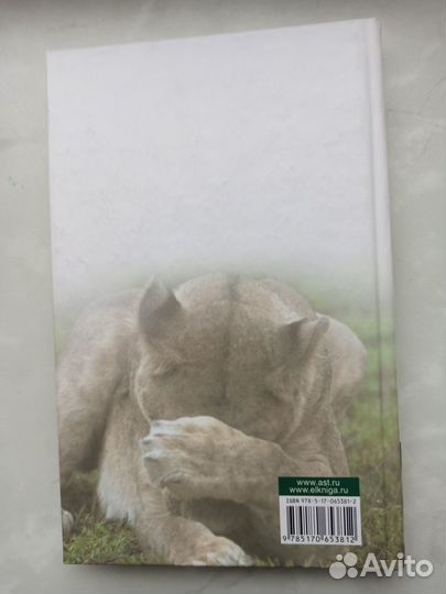 Бегство от свободы новая книга Эрих Фромм