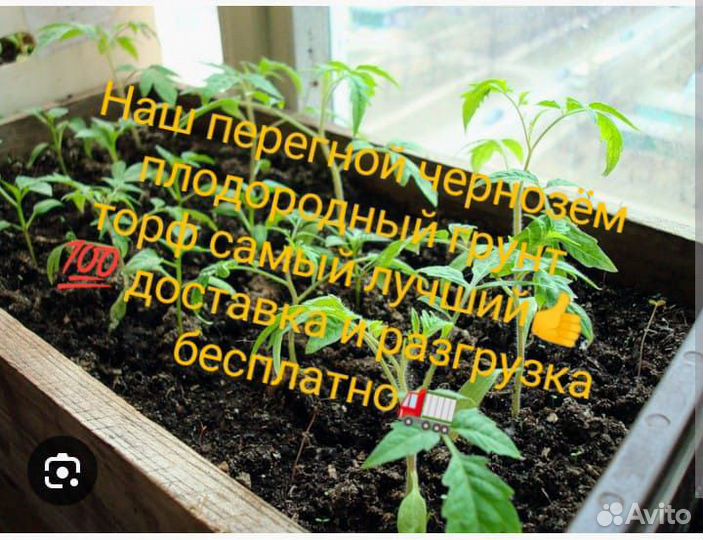 Чернозем плодородный доставка