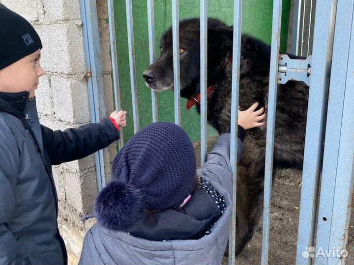 Экскурсия — Пятигорск — Долина волков, Дом великан