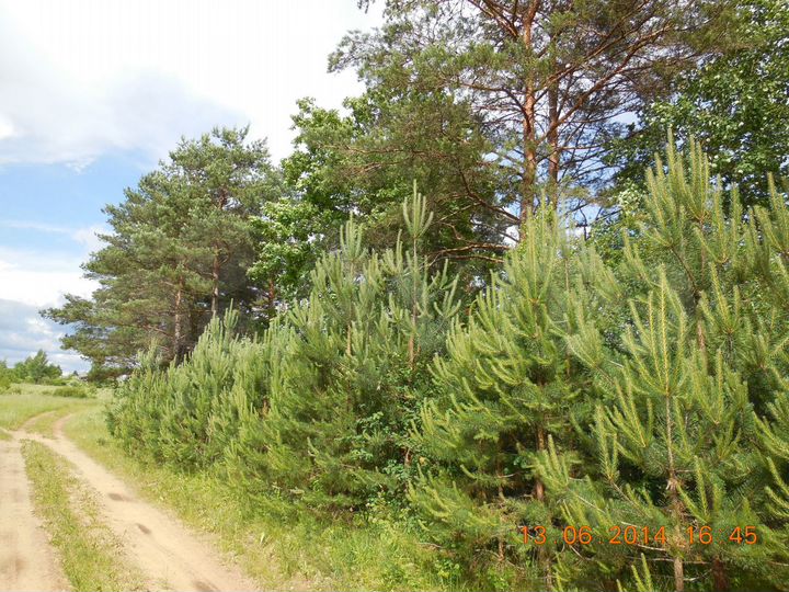 Дом 40 м² на участке 18 сот.