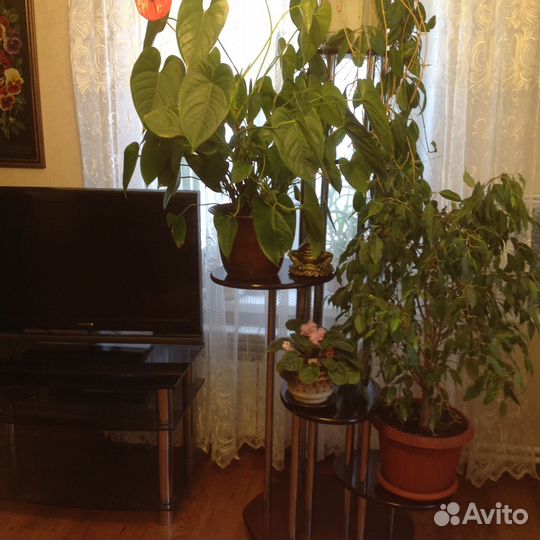 Шикарная многоуровневая подставка для цветов