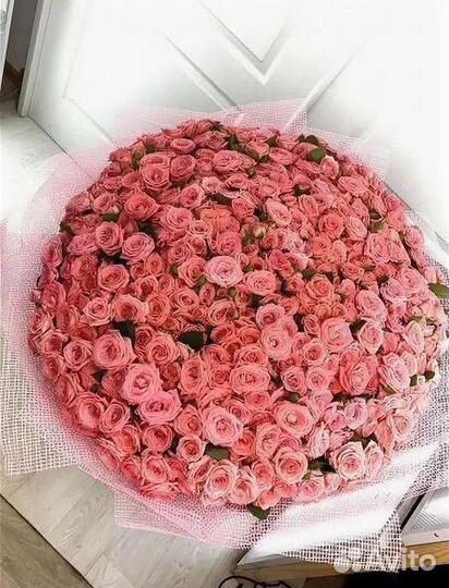 Розы. Букет цветов. 25 31 51 101 роза