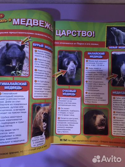 Коллекция дисков «Твои веселые друзья зверята»