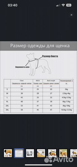 Зимняя одежда для собак