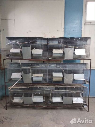 Клетка для животных бу